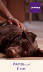 Embrace Pet Insurance