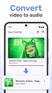 Save From Net Video Downloader