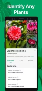 PictureThis - Plant Identifier