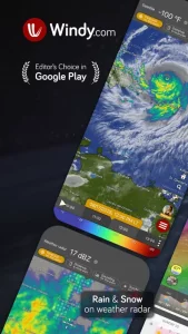 Windy.com - Weather Forecast