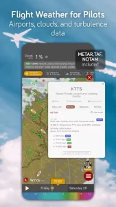 Windy.com - Weather Forecast