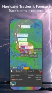 Windy.com - Weather Forecast