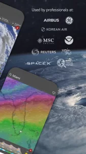Windy.com - Weather Forecast