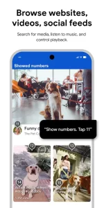 Voice Access