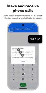 Voice Access